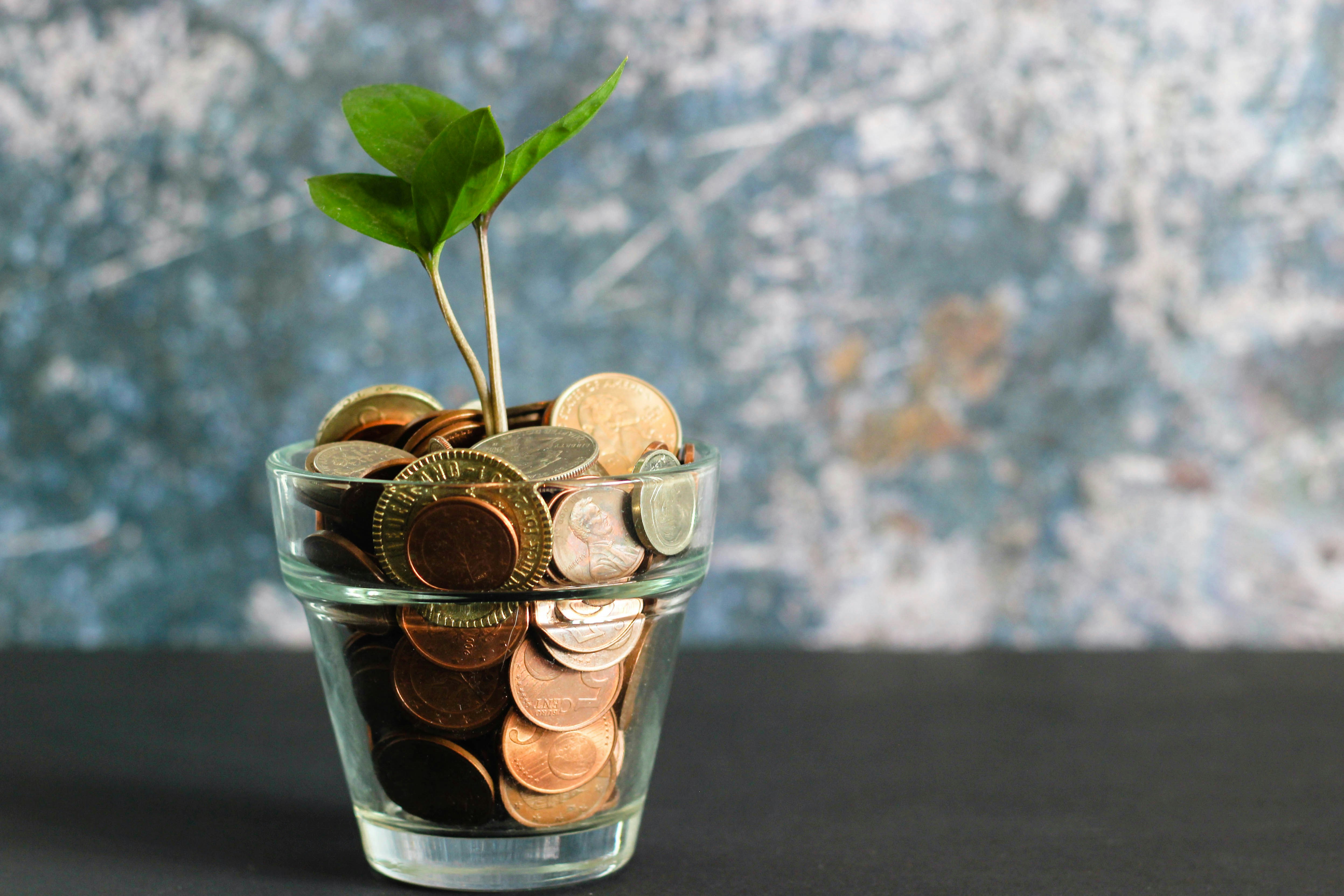 Your Application Portfolio Has a Financial Story. Can You Tell It?